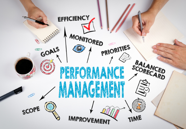 Performance Management Online Course