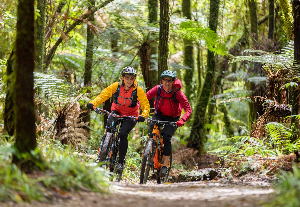 42 Traverse Mountain Bike Trail Adventure Package incl. One Night Prior & One Night After Bike Trail Accommodation, Cooked Breakfast, Two-Course Dinner & Transfers to Trail - Options for One, Two, or Four People - Bring your Own Bike