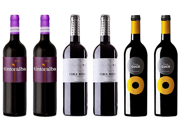 Six-Pack of Mixed Spanish Red Wines