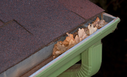 From $89 for a Gutter Clean, Flush & Roof Inspection incl. Installation of a Gutter Guard on All Down Pipes (value up to $350)