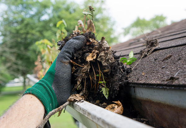 Spouting & Gutter Cleaning - Options for up to  Five-Bedroom Homes