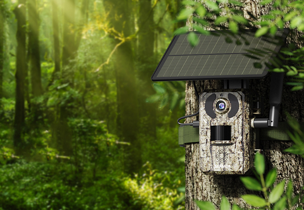 Outdoor Solar 4G LTE Cellular Trail Cameras with 2K Live Video - Option for Two