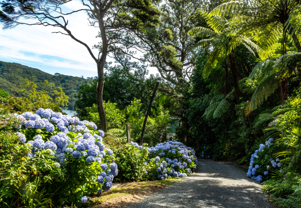 Two-Night Escape to Great Barrier Island for Two People incl.  Late Checkout, Complementary Kayaks, Surfboards & Boogie Boards - Options for Three or Four Nights