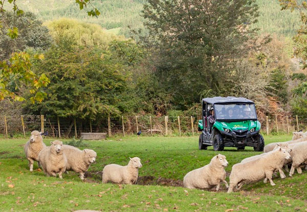 $49 for a One-Hour Back Country Adventure (value up to $89)