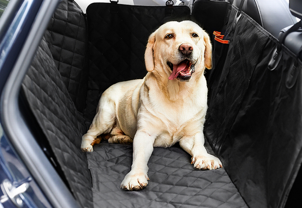 PaWz Pet Non-Slip Car Back Seat Cover