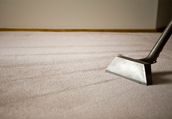 Carpet or Upholstery Shampoo - Options for up to Five Bedroom House or Six Seater Suites