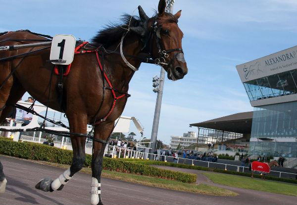 Christmas at the Races Buffet incl. Two Drinks & Dinner for Eight People - Options for Nine & Ten People Available