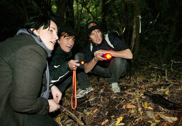 Two-Hour Zealandia by Day Guided Tour for One Adult or 2.5-Hour Zealandia by Night Guided Tour - Child Option Available