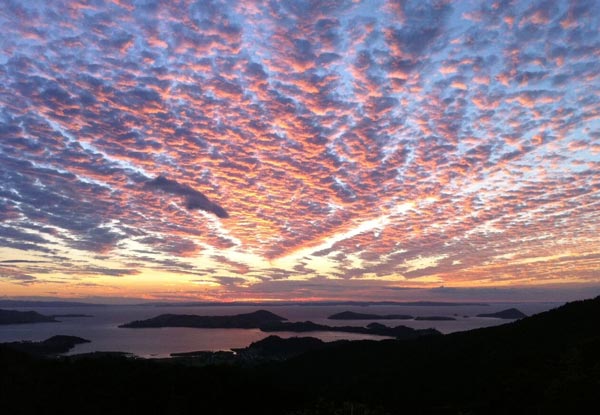 Adult Ferry Ticket to Coromandel Town Return - Option for a Child Ticket