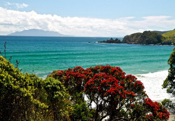 Three-Day Summertime Matakana Coastal Walk for One Person incl. Two-Nights Accommodation & Transfers - Option to incl. Catering & an Exciting Local Activity