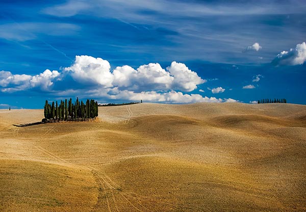 Per-Person Twin-Share Seven-Night Italy Food Tour incl. Accommodation, Sight-Seeing, Italian Cooking Lessons, Activities & More