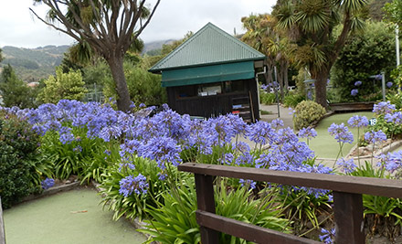 $5 for 18 Holes of Minigolf for One Person or $16.50 for a Family Pass (value up to $33)
