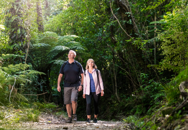 Queen Charlotte Track Day Walk with Cougar Line Cruise Transfers - Walk Resolution Bay to Furneaux Lodge - Options for Adult or Child