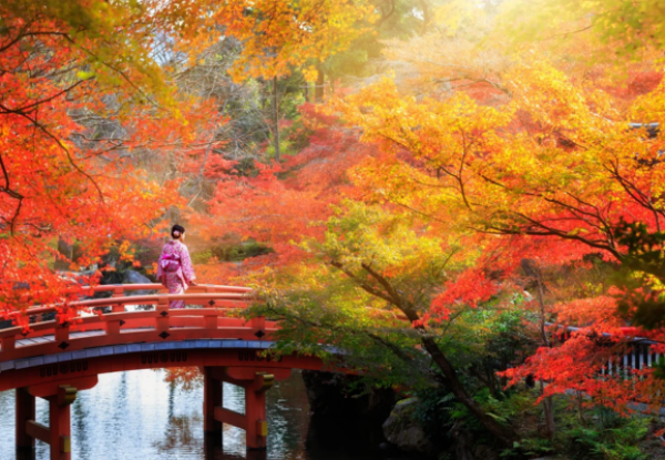 A Grand Japanese Sojourn - Per Person Twin-Share 16-Night Cruise Onboard Westerdam Tokyo Return incl. Return Flights & Two Nights Accommodation in Tokyo - Options for Inside, Outside or Balcony Cabin