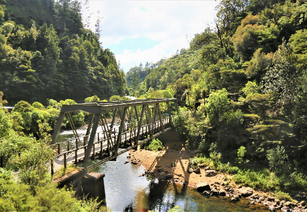 The Hauraki Rail Trail Bike Package incl. Full Day E-Bike Hire, Pannier, Helmet & Shuttle for  For Two People