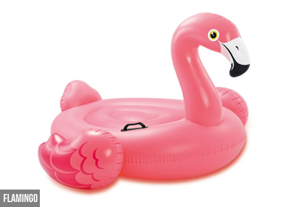 Intex Ride-On Pool Inflatable Range - Four Options Available
