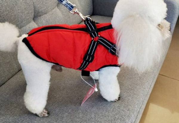 Winter Warm Jacket for Dogs with Harness - Four Sizes Available