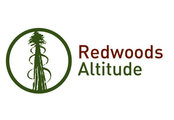 Guided Redwoods Altitude Experience for Adult or Child incl. Ziplining & 25-Metre High Guide