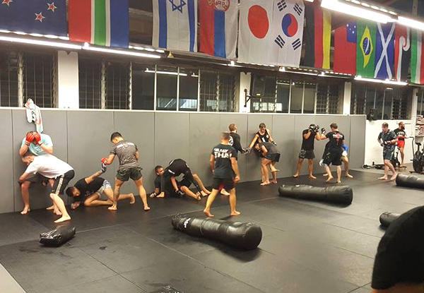 One Month of Unlimited Mixed Martial Arts Classes - Browns Bay Location