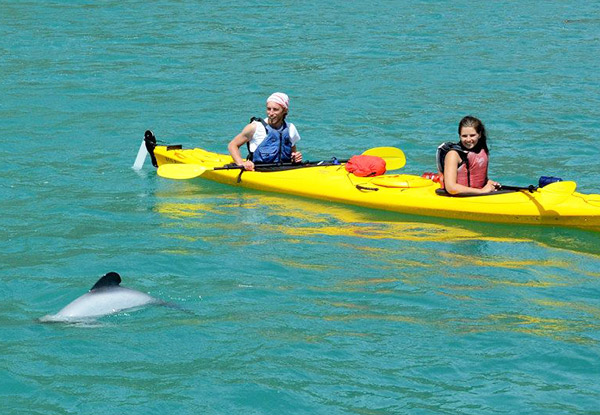 One Hour of  Wildlife Kayaking for Two People - Option for Two Hours