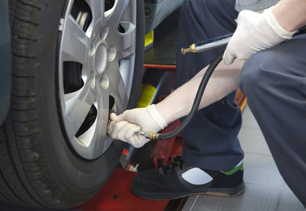 Extensive Vehicle Service - Option to incl. a WOF & European or Diesel Cars