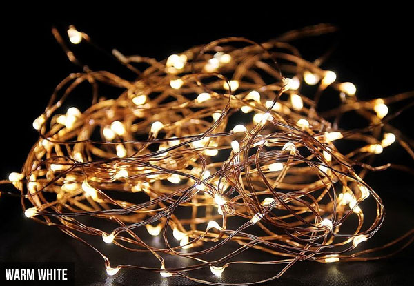 Two Sets of 2.3m LED Copper Wire Seed String Lights - Seven Colours Available & Options for up to 10 Sets