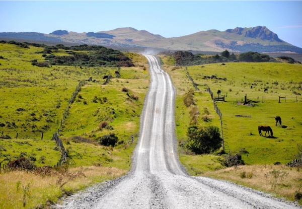 Twin-Share Five-Day Day Chatham Island Escape for One Incl. Return Flights, Accommodation, Breakfast, Airport Transfers & Car Rental - Option for Two People