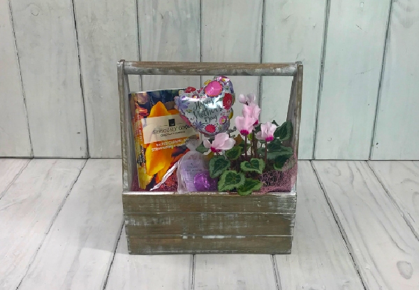 Mother's Day Variety Gift Package incl. Shower Bomb, Chocolates, Cyclamen Plant & Mini Balloon, Delivered in a White Basket with Free Auckland Delivery