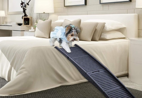 Portable Folding Pet Ramp - Option for Two or Three-Fold