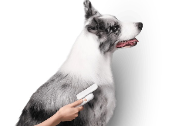 Pidan Pet Deshedding Tool - Elsewhere Pricing $34.90