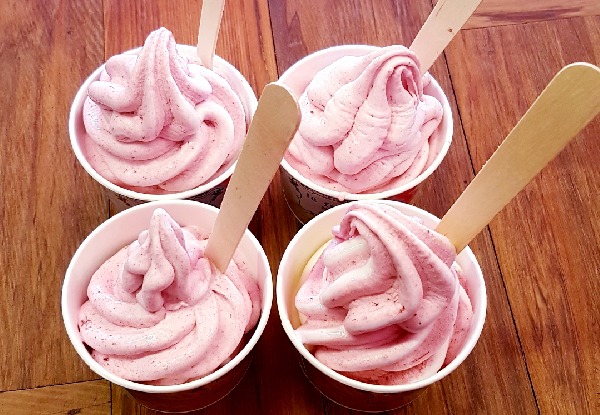 Small Real Fruit Ice-Cream - Options for Medium or Large - Valid Wednesday - Sunday