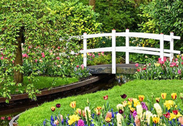 Gardening Online Certificate Course - Option for Garden Maintenance or Gardening & Lawn Care