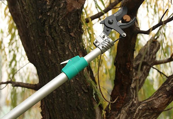 Telescopic Extendable High-Reach Tree Pruner