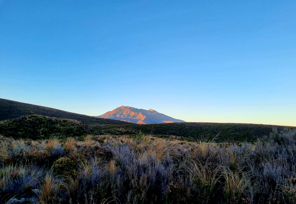 Tongariro Alpine Crossing 1-Way Shuttle from Ketetahi Road for One - Options for up to 21 People - Valid from 1st October 2025 - 30th April 2026