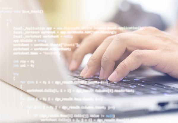 Become a Professional Python Programmer Online Course Bundle