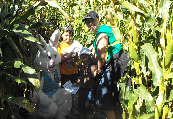Child or Adult Entry to The Maize Maze Easter Egg Hunt
