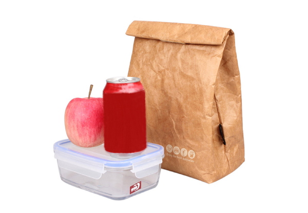Insulated Brown Paper Style Lunch Bag