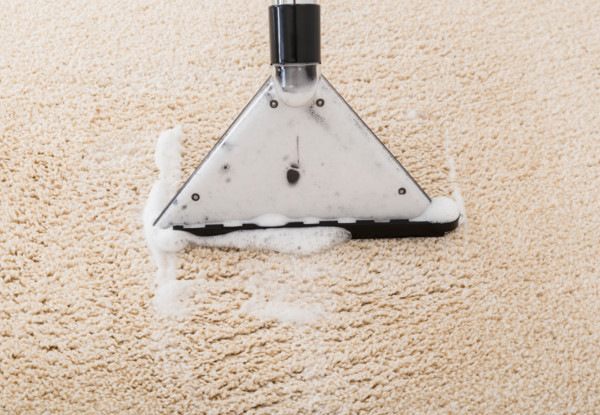Carpet or Upholstery Shampoo incl. Lounge & Hallway - Options for up to Four-Bedroom House or Six Seater Suites