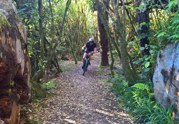 $339 for a Mountain Bike Trail Adventure for Two incl. Two Nights Accommodation, Breakfasts, Bike Hire & Transfers (value up to $562)