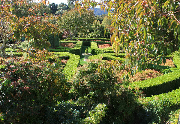 Devonshire Tea & Summer Gardens Entry for One Person - Option for Devonshire Tea & Lifetime Membership from Aston Norwood Gardens