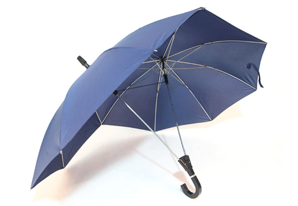 Couples Umbrella with Free Delivery