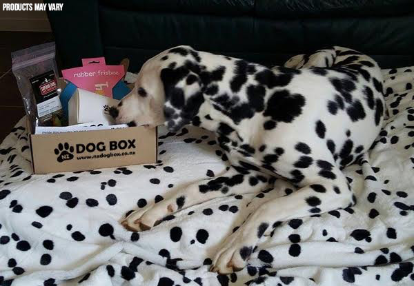 $24 for an NZ DOG BOX Surprise Box - Three Options