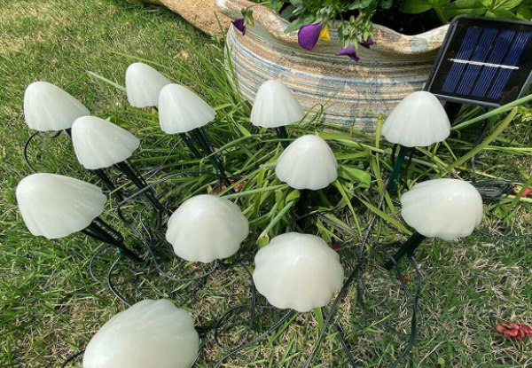Solar Powered LED Mushroom Garden Lights - Three Sizes Available - Two Colour Options