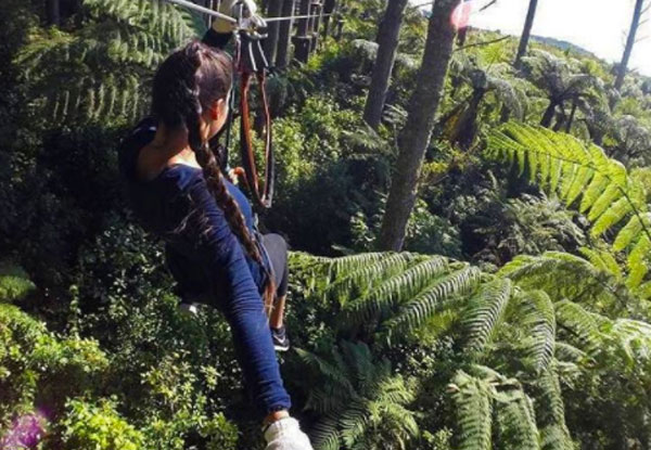 One Adult or Child Admission to Adrenalin Forest Park - Three Locations in Wellington, Christchurch & Bay of Plenty - Valid Thursday to Sunday