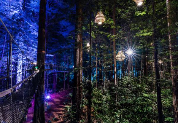 Redwoods Adventure Combo Experience incl. Fast Pass Entry to Redwoods Nightlights, Guided Altitude Tour & Daytime Treewalk Entry - Options for Adult or Child