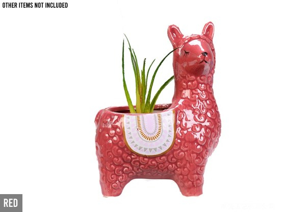 Alpaca Shaped Succulent Flower Pot - Four Colours Available