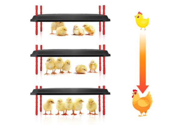 Chicken Brooder Heating Plate - Two Sizes Available