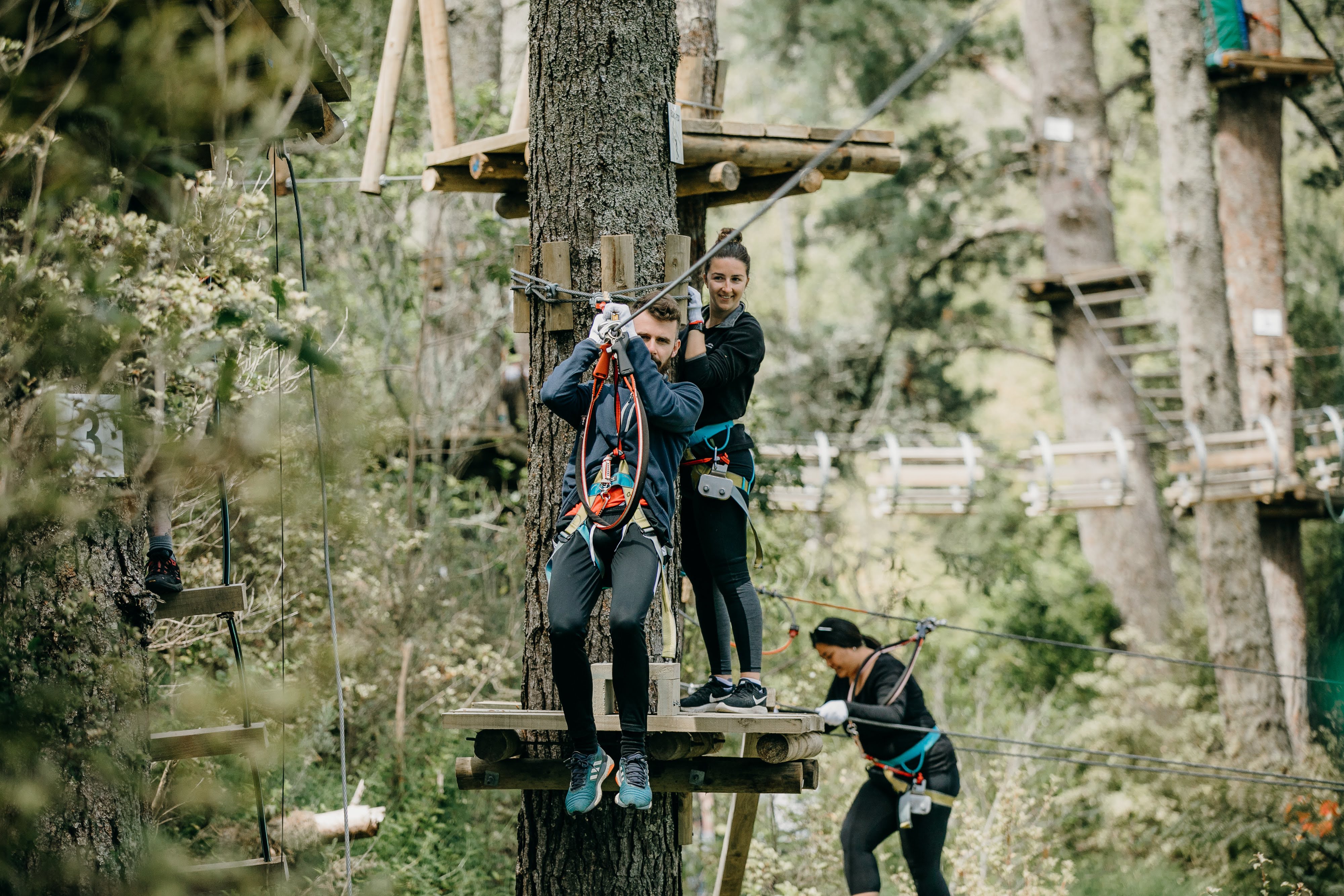 One Adult or Child Admission to Adrenalin Forest Park Christchurch - Valid Thursday to Sunday