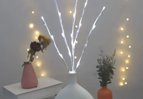 Birch Branch LED Light - Two Colours Available