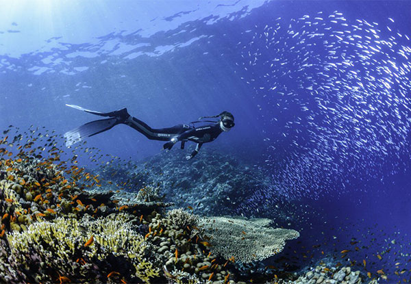 SSI Freediving Course & Spearfishing Charter - Option for Spearfishing Charter Available